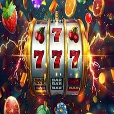 paidbet