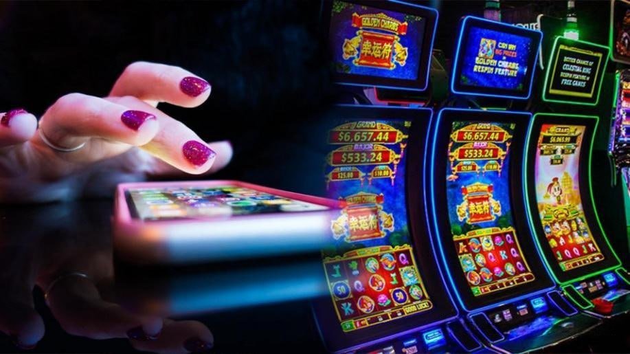 paidbet